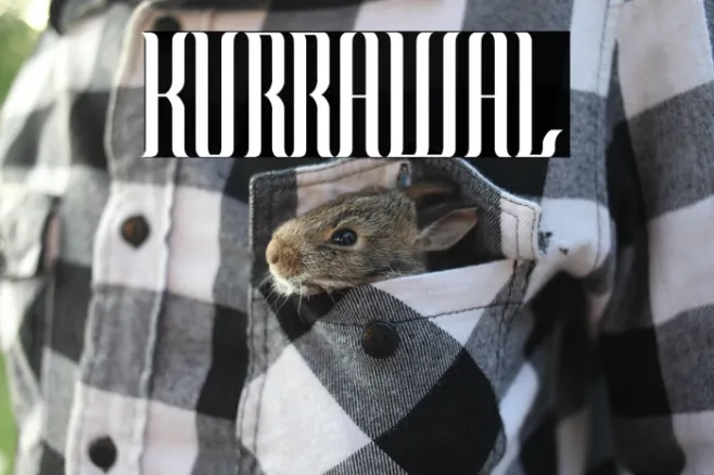 KURRAWAL Example 1