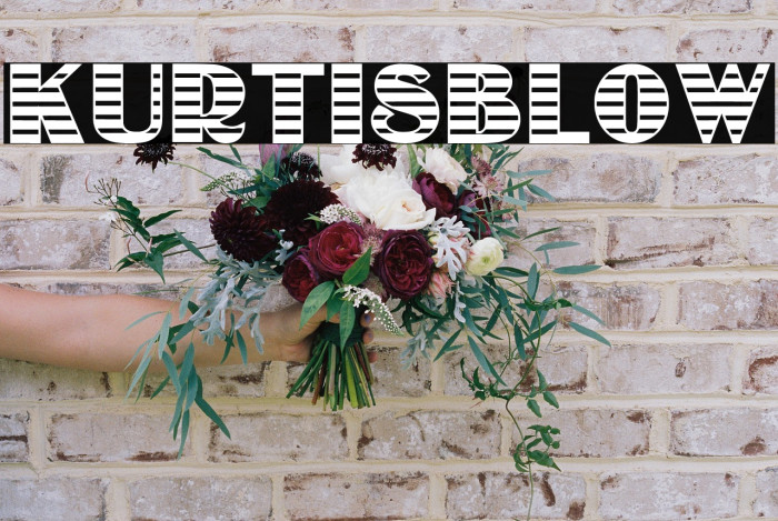 KURTISBLOW Example 1