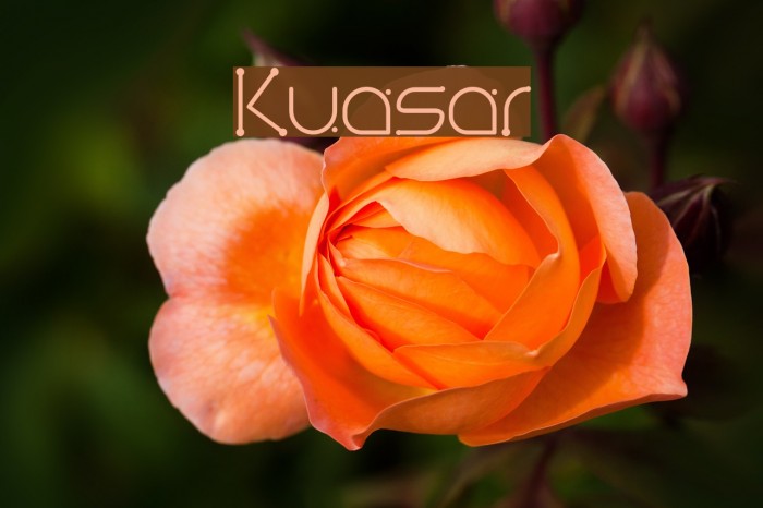 Kuasar Font examples
