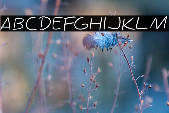 Kuashe Regular Example 1