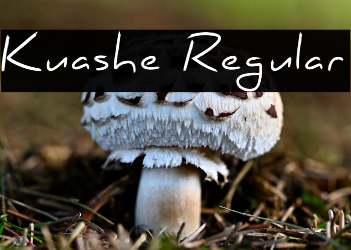 Kuashe Regular Example 3