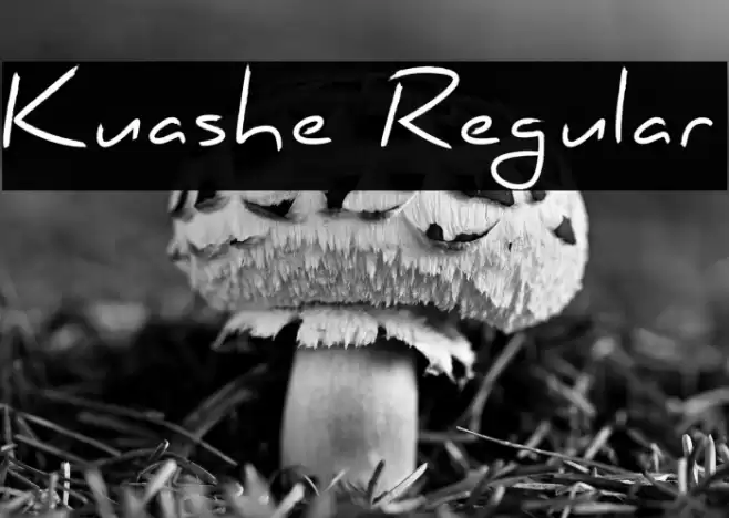 Kuashe Regular Font examples