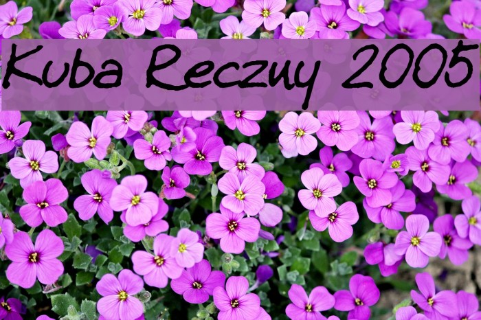 Kuba Reczny 2005 Font examples