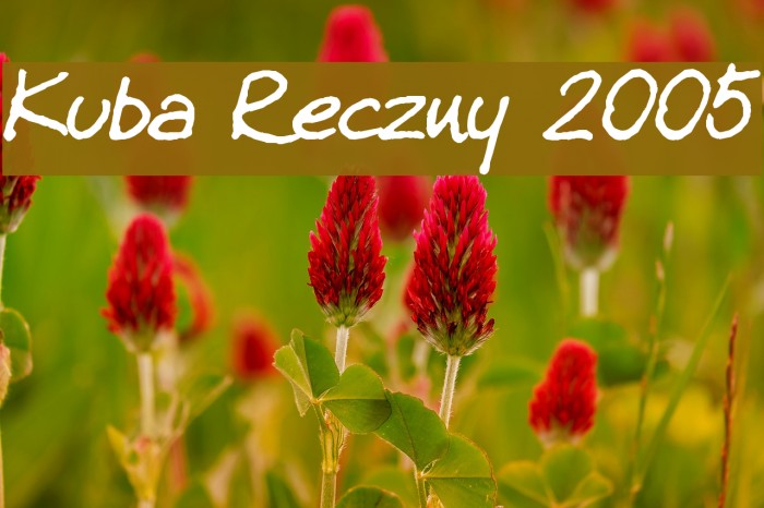 Kuba Reczny 2005 Font examples