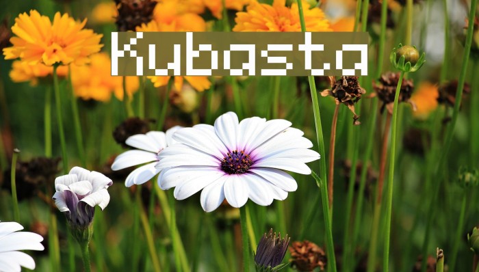 Kubasta Fonte examples