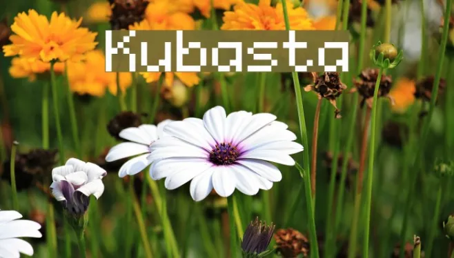 Kubasta Example 1