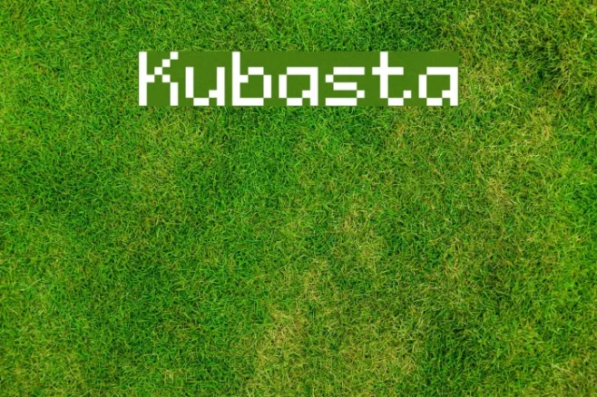 Kubasta Example 2