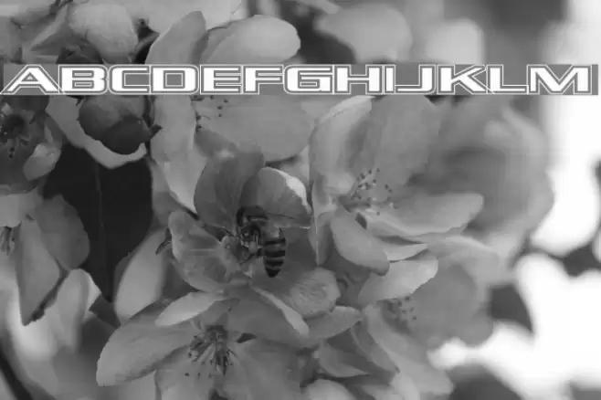 Kubra_Hollow Шрифта examples