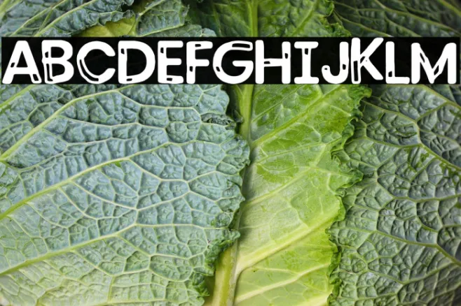 Kubrick Display Example 3