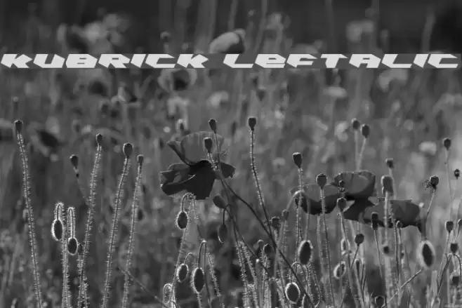 Kubrick Leftalic フォント examples