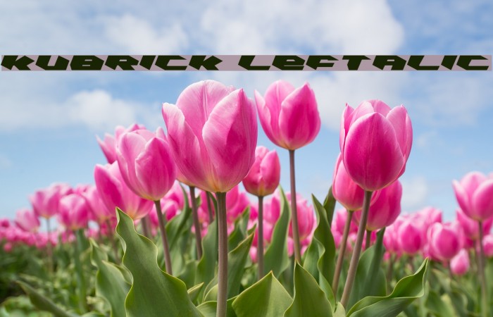 Kubrick Leftalic Font examples