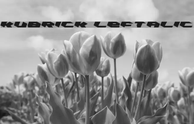 Kubrick Leftalic フォント examples