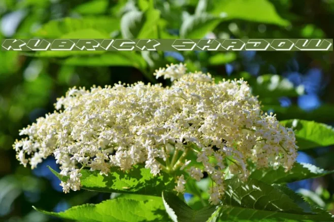 Kubrick Shadow Example 2