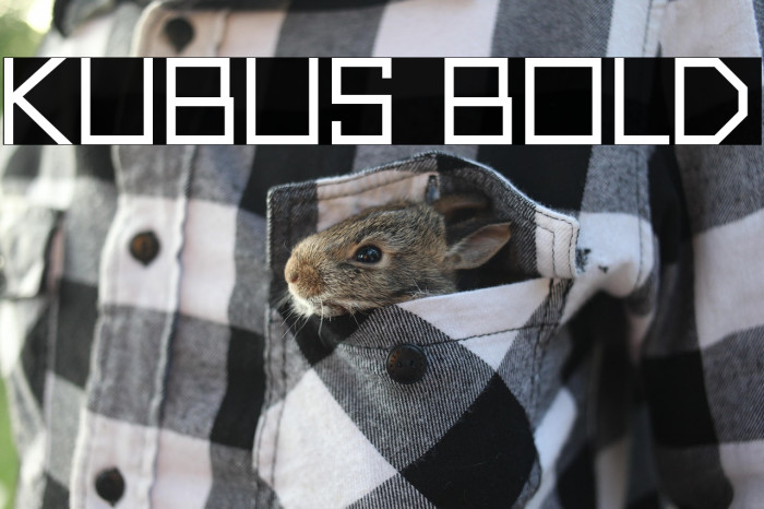 Kubus Bold Example 1
