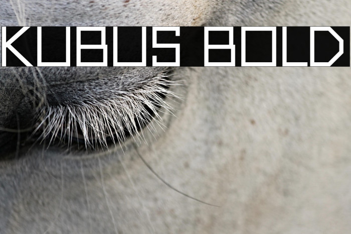 Kubus Bold Example 2