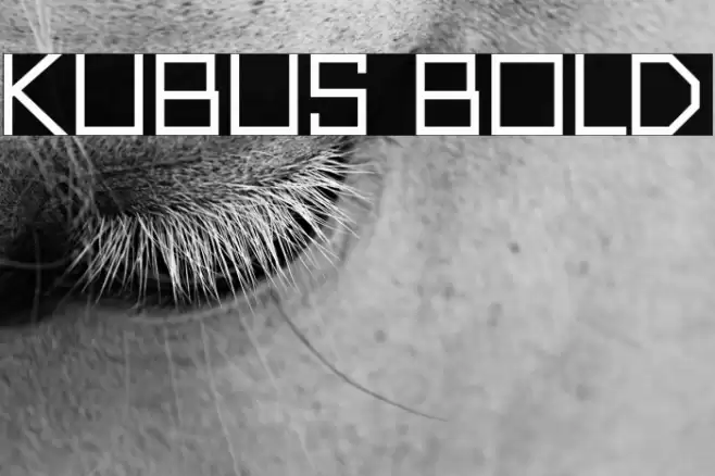 Kubus Bold Font examples