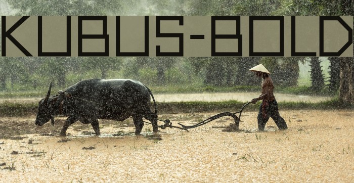 Kubus-Bold Font examples