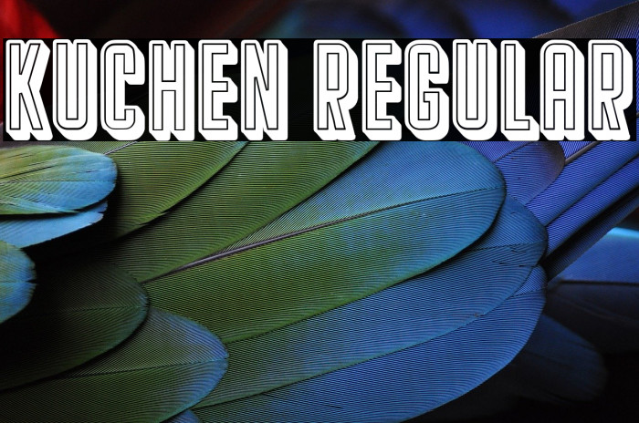 Kuchen Regular Font examples