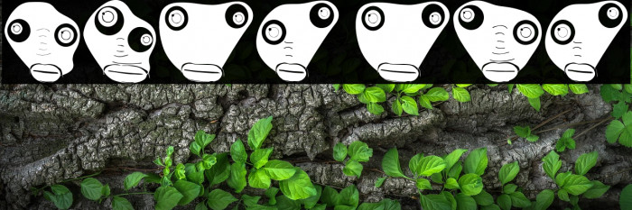 Kucheza Regular Example 3