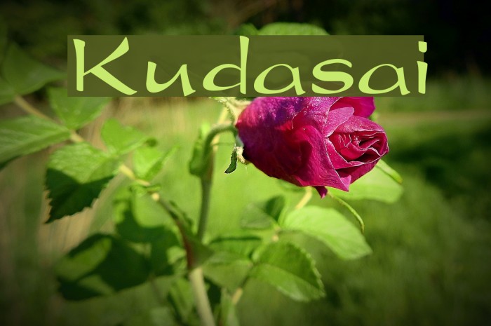 Kudasai Font examples