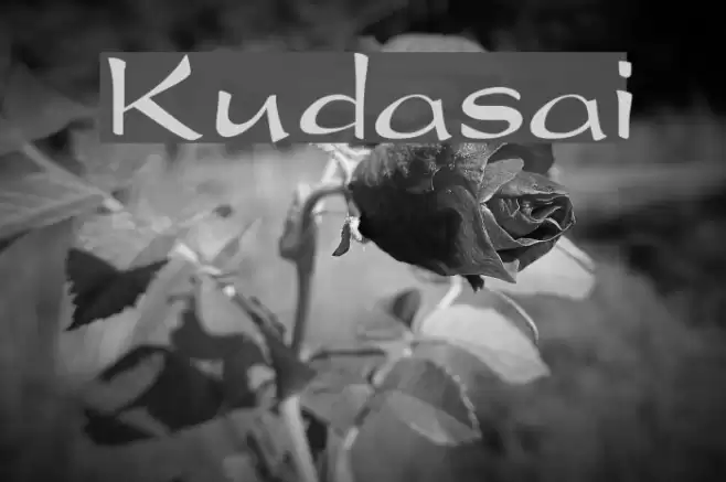 Kudasai フォント examples