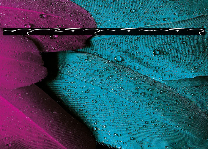 Kudofun Swash Example 2