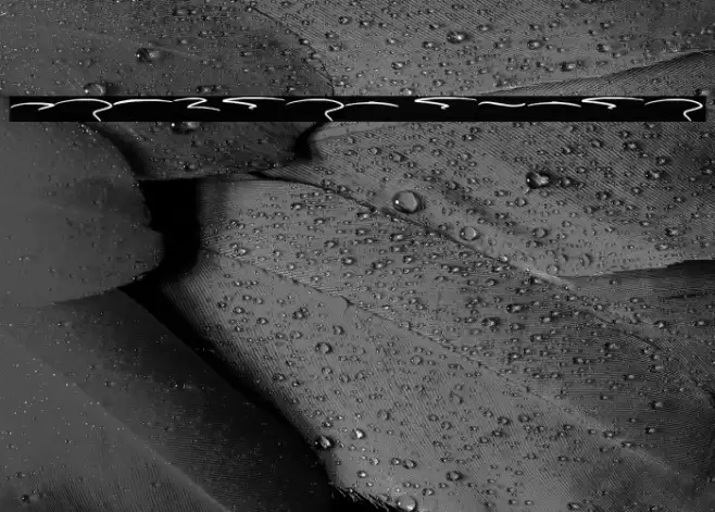 Kudofun Swash Font examples