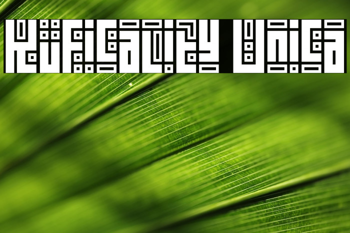 Kuficality Unica Example 2