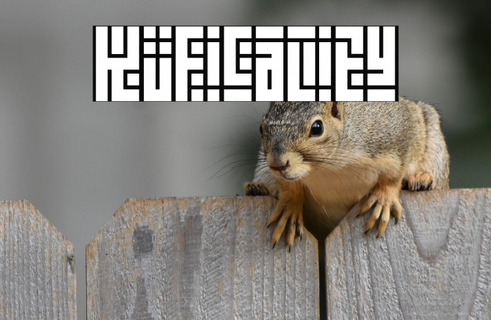 Kuficality Example 1