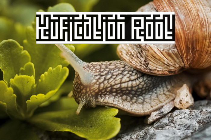 Kufication Root Example 1