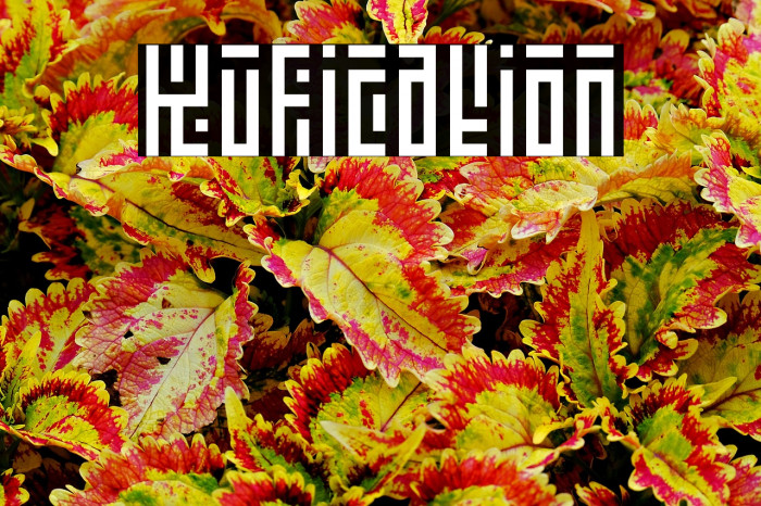 Kufication Example 2