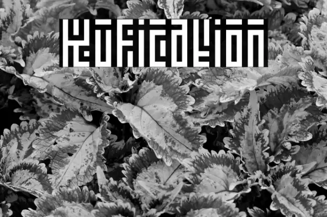 Kufication Font examples