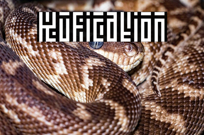 Kufication Example 3