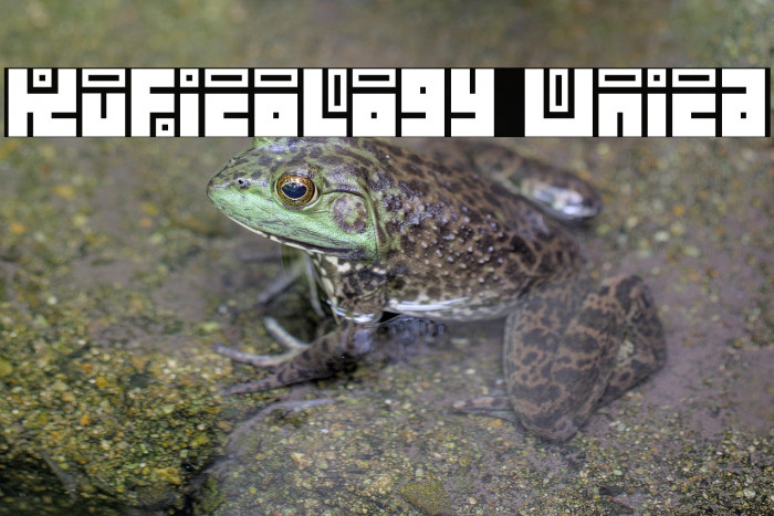 Kuficology Unica Example 1