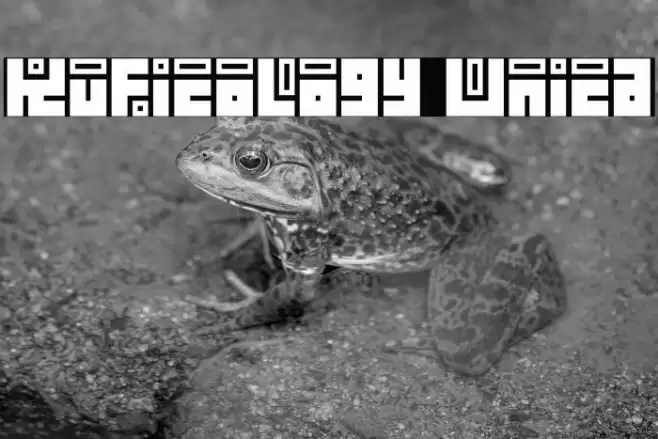 Kuficology Unica Font examples