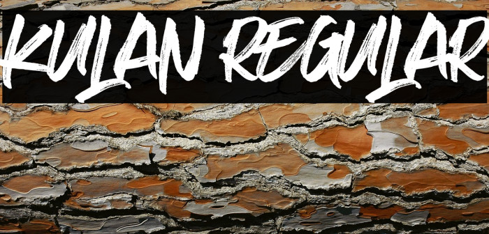 Kulan Regular Example 2