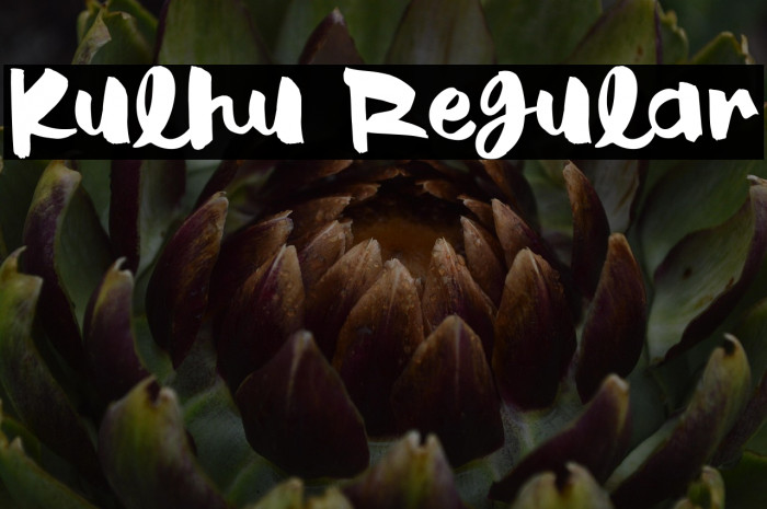 Kulhu Regular Example 2