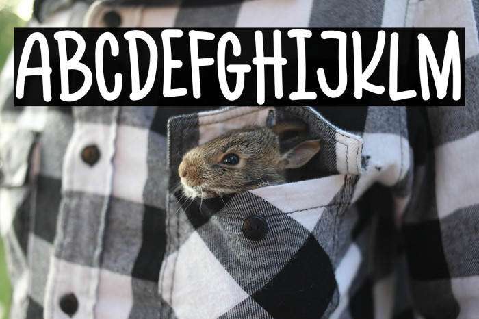 Kulo Free Version Example 2