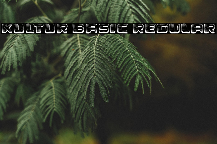 Kultur Basic Regular Example 1