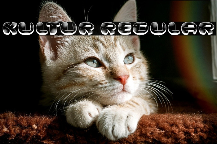 Kultur Regular Example 1