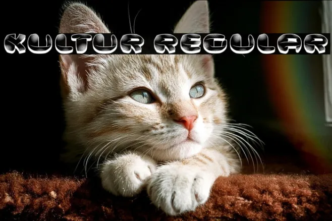 Kultur Regular Example 1
