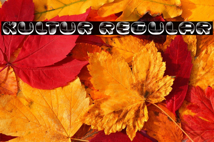 Kultur Regular Example 2