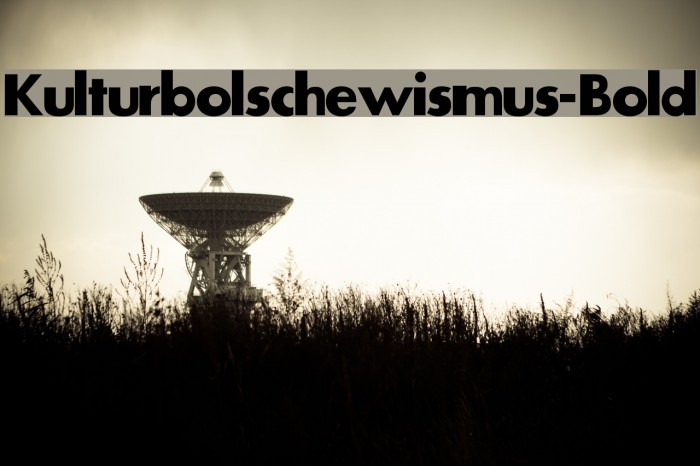 Kulturbolschewismus-Bold Font examples