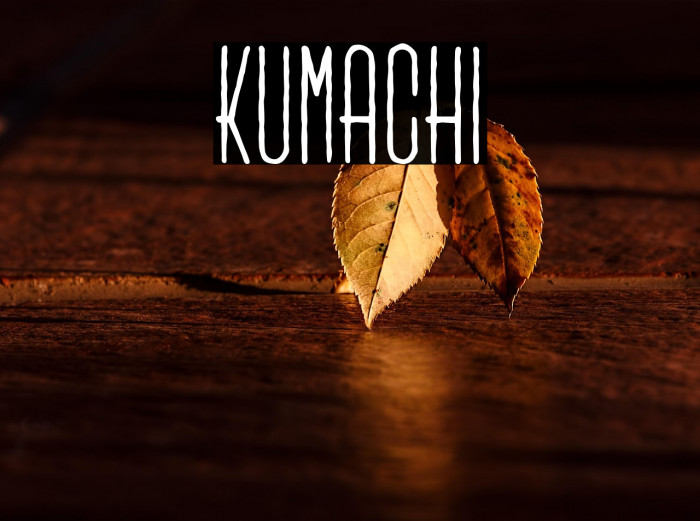 Kumachi Example 1
