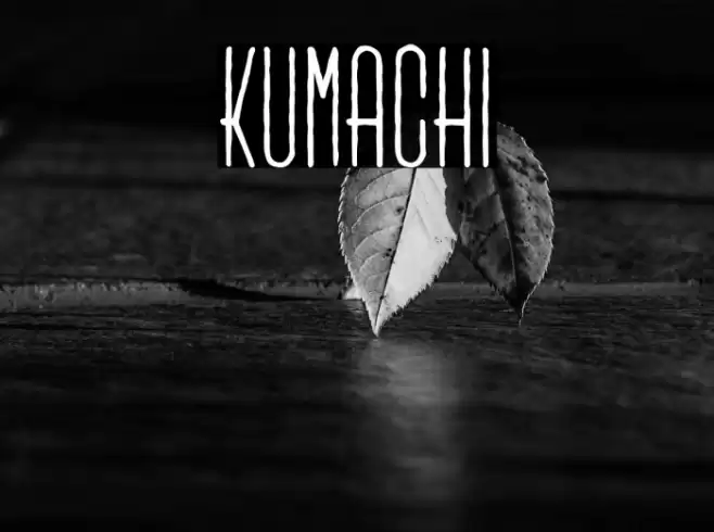 Kumachi Font examples