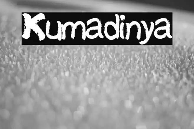 Kumadinya Font examples