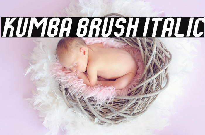 Kumba Brush Italic Example 1