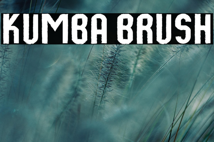 Kumba Brush Example 3