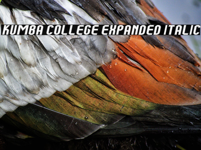 Kumba College Expanded Italic Example 1