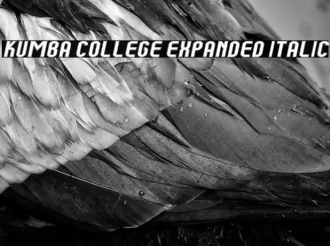 Kumba College Expanded Italic Font examples